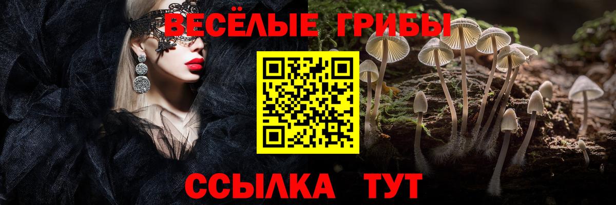 Галлюциногенные грибы GOLDEN TEACHER  Вход с VPN  Балашиха 